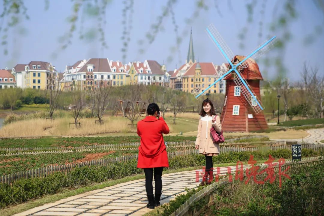 南昌九龙湖公园简介,南昌九龙湖绿色湿地公园