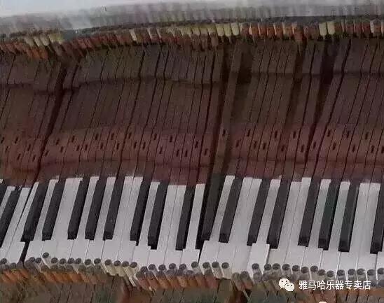 天音乐器靠谱吗,天音二手乐器河东区