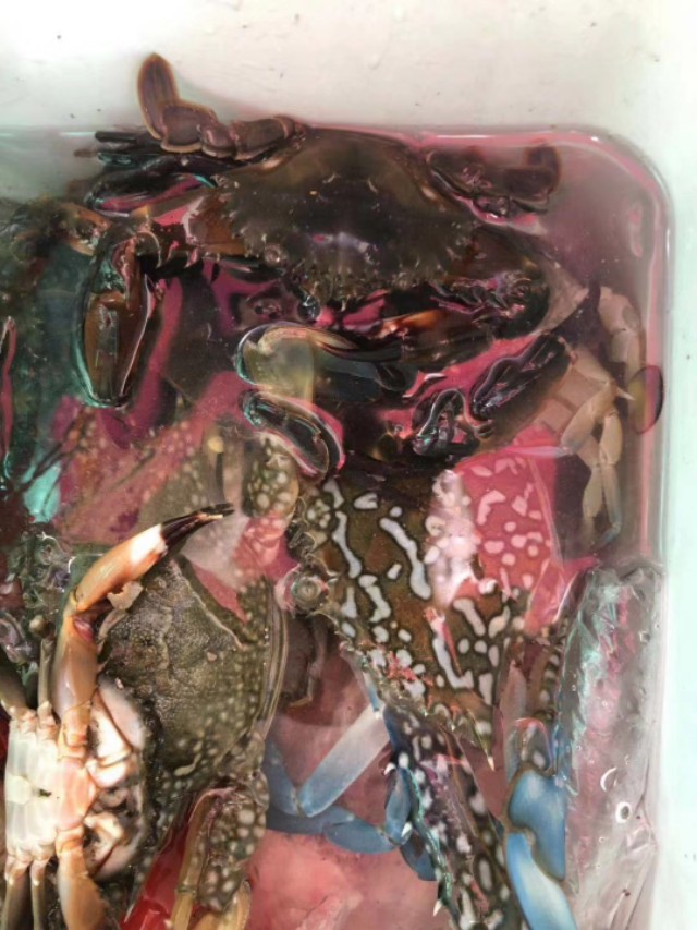 惠州檀悦豪生度假酒店附近赶海,2024年惠州赶海的最佳地方