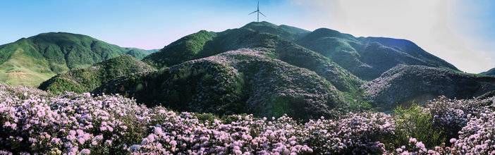 贵州盘州乌蒙草原海拔多少,贵州六盘水乌蒙大草原海拔多少