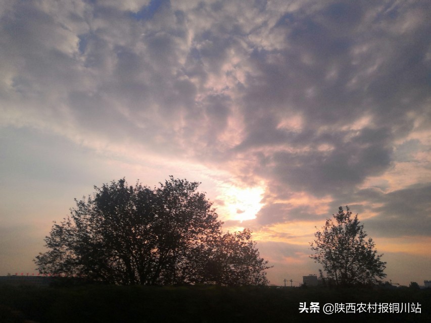 陈百强一生一共唱了多少首歌,朱百强个人资料