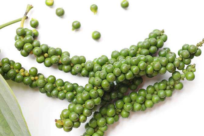 胡椒传入中国的原因,胡椒为什么这么流行