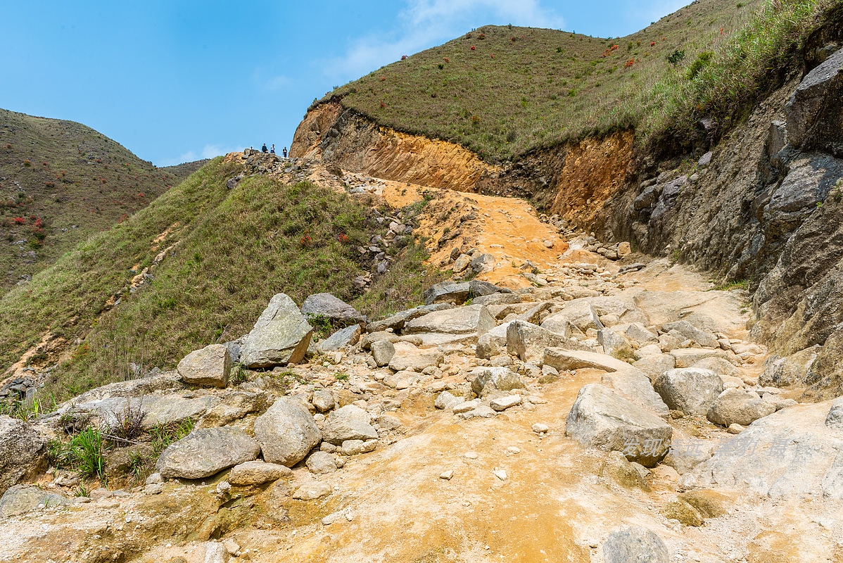 走最远的路,航拍广东最壮美的野生杜鹃花海