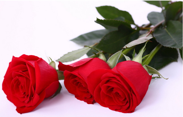 第一眼就喜欢的颜色决定你的性格,喜欢什么颜色就代表你是什么性格