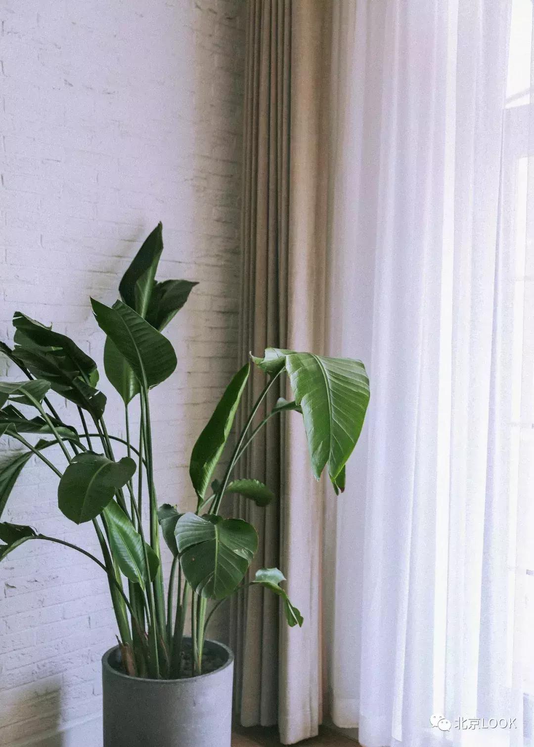 刘昊然同款民宿房间,住进复式loft