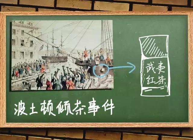 飘逸杯为什么叫飘逸杯,舒茗飘逸杯和佐茗飘逸杯