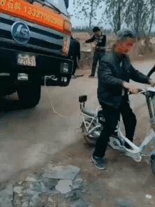 一进门就看见小蜜蜂在追着神奇女侠