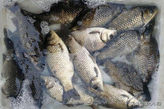 菜市场卖剩下的“死鱼”，都到哪儿去了？鱼贩们的方式，让人佩服