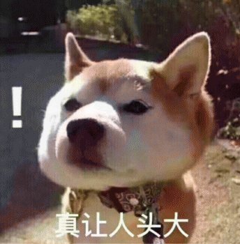 两个月狗狗眼屎多用什么药,狗狗眼屎多什么原因导致的