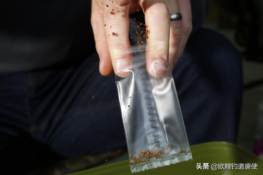 老外钓鱼打窝,老外打窝钓鱼视频大全