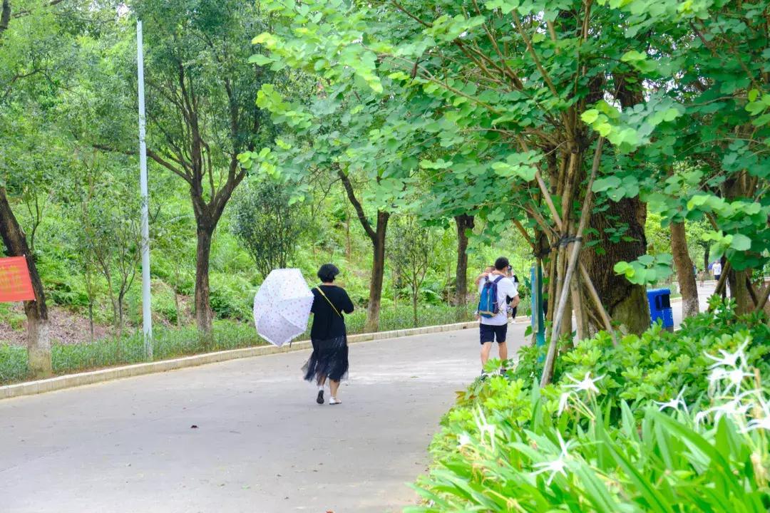 平湖低调小区,平湖品位