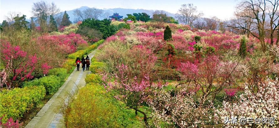 读诗说史：古人怎么过清明？除了祭祀与踏青，还有更多玩法