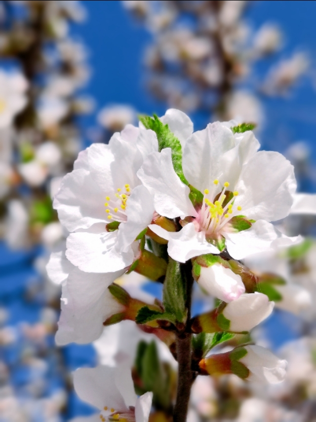 璇楃ぞ閲囬娲诲姩,浼楀垱璇楃ぞ涓冨緥