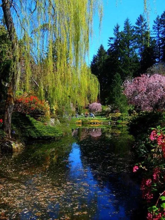 布查德花园的秋冬季,全球最美花园布查特花园