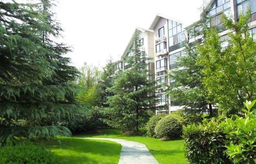 杨善平全部视频,杨善平案件