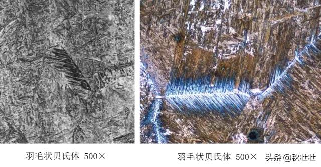 马氏体和奥氏体金相图片,马氏体和珠光体金相区别