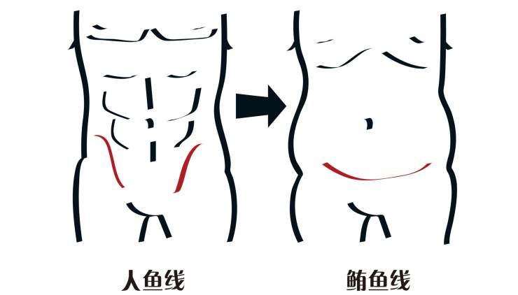 人鱼线vs马甲线图片,什么叫人鱼线和马甲线