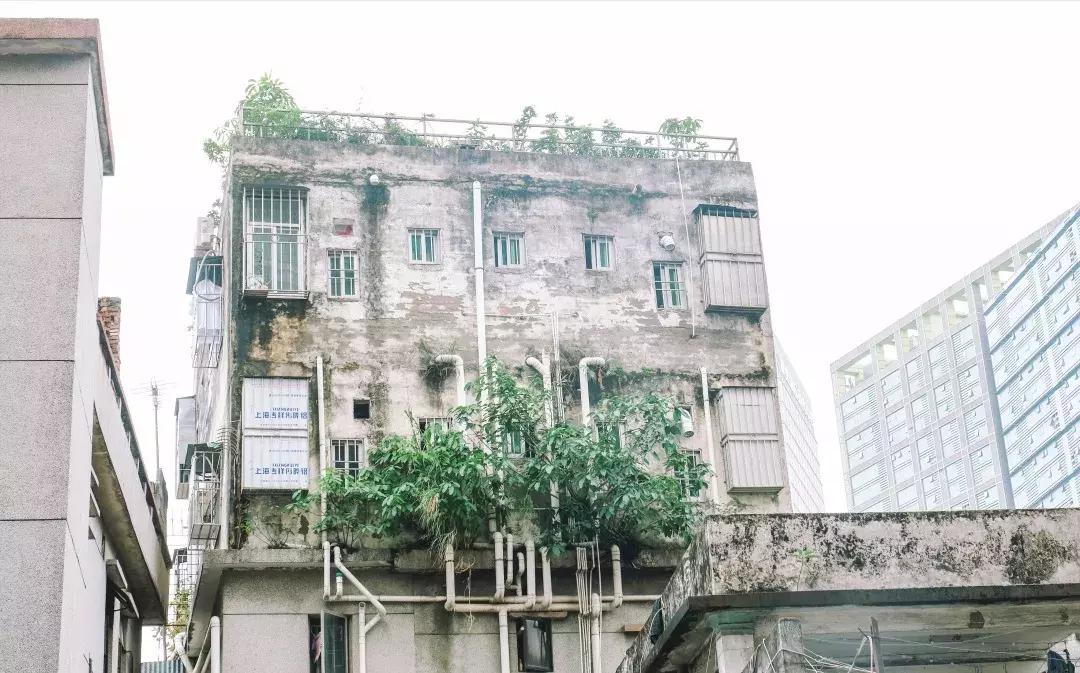 走进南头,这里是中山