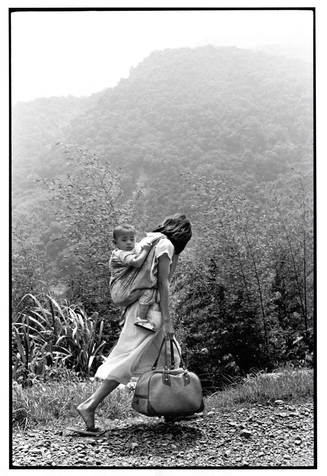 摄影初学者怎么拍出好照片,专业摄影照片拍摄技巧