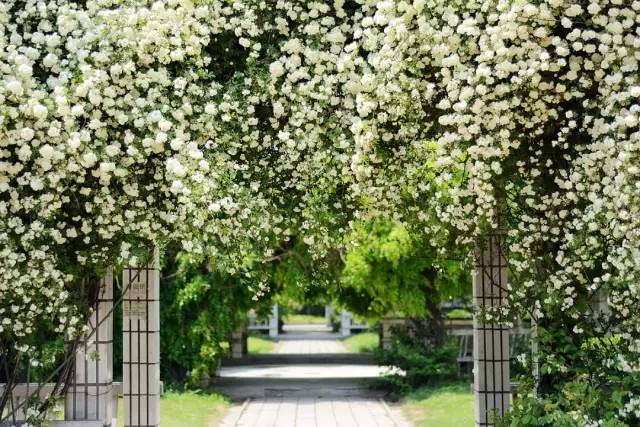 颜值爆城！云龙湖边的这所高校，今年要提前招你...