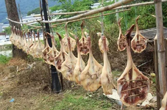 家常菜15道菜客家菜,客家菜太好吃了怎么形容