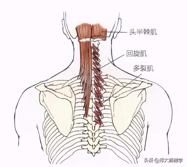 推拿颈椎手法,颈椎手法治疗立竿见影