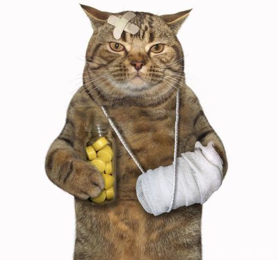 猫咪外伤用什么药好得快,猫咪急救小常识