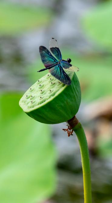 有关秦皇岛的歌曲,这些经典流行歌曲满满的都是回忆
