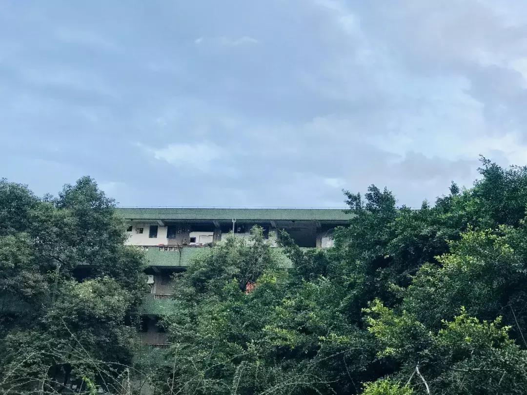 从钢管厂五区晃到莲花新区