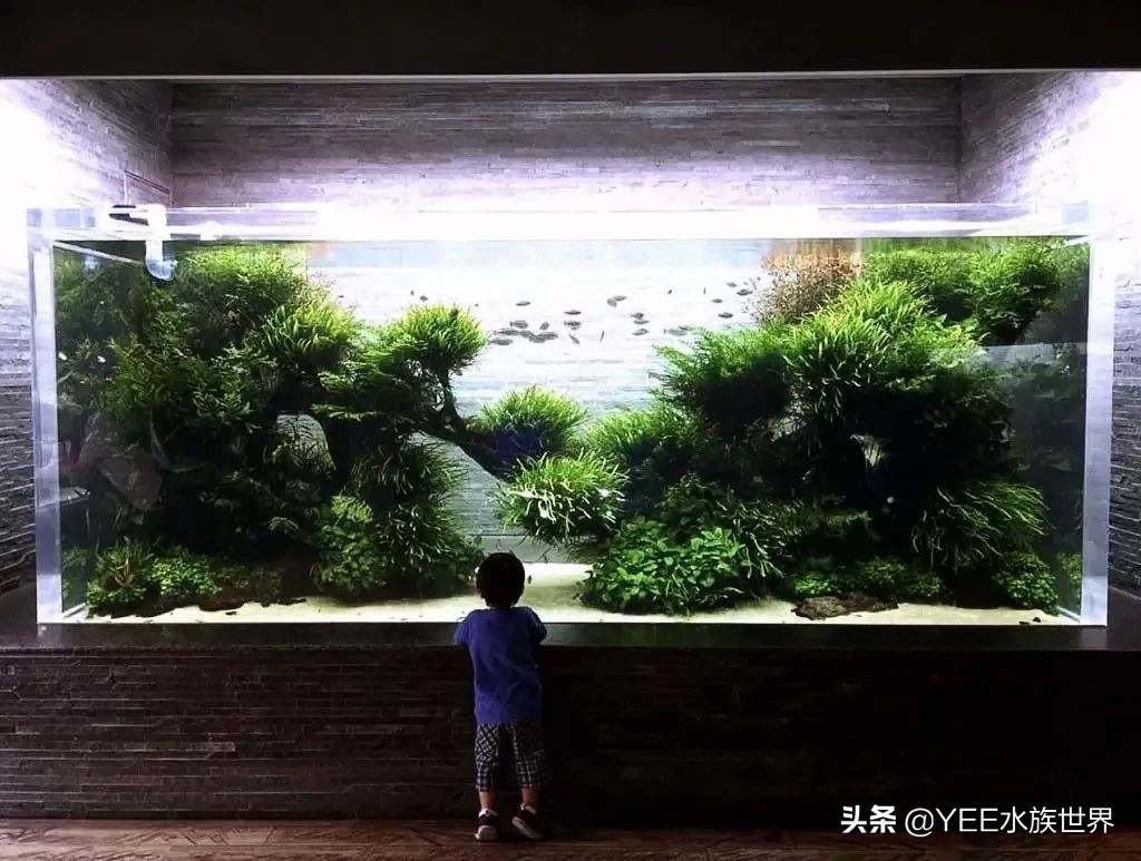 买水泵前需要注意什么问题,买水泵注意事项有哪些