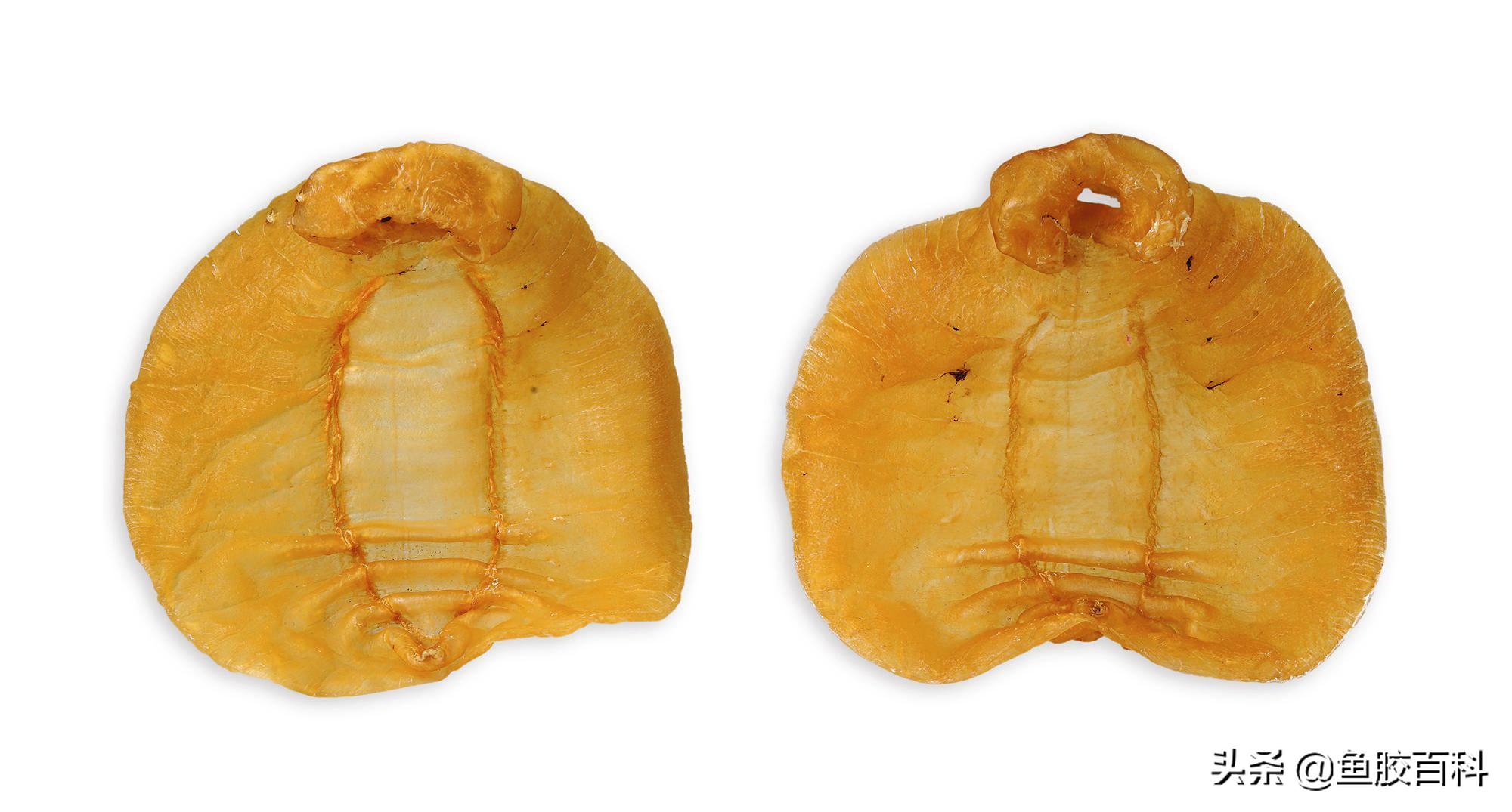 鱼胶花胶科普,鱼胶怎么买又便宜又有营养