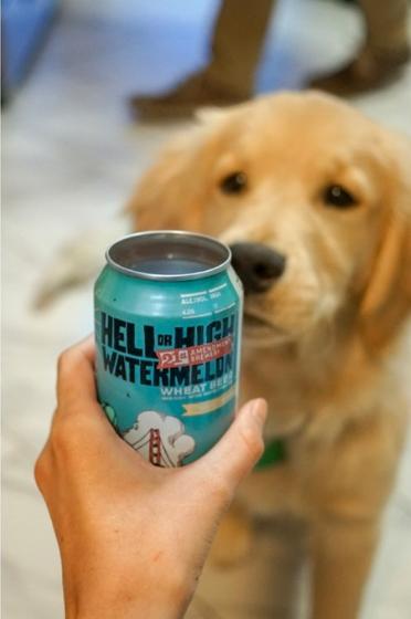 硬核开易拉罐神器，二话不说！直接把脑壳掀翻！