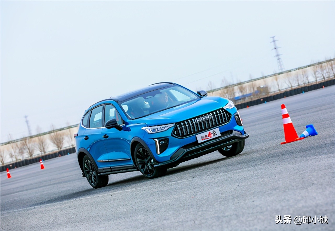 赤兔有啥区别,赤兔是哪个马种