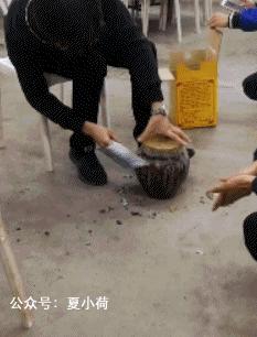 搞笑动图gif熊猫,搞笑动图gif微信表情包