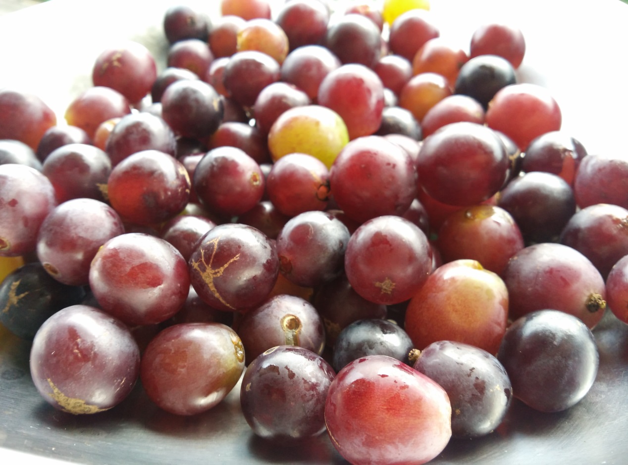 自己在家自制葡萄酒怎么做,在家自制葡萄酒有什么功效