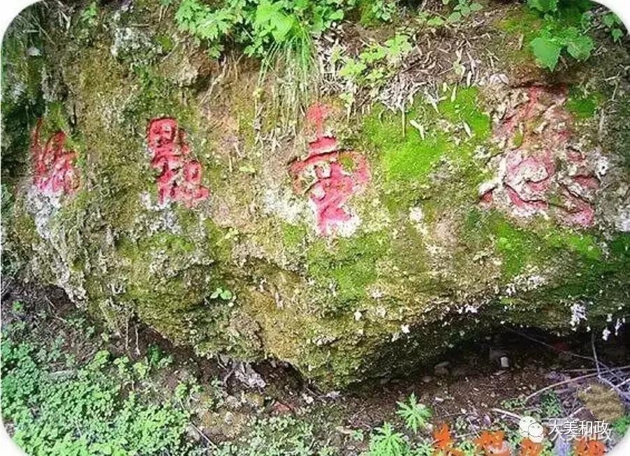 绿色和政春深夏浅风光好山美花浓待君来