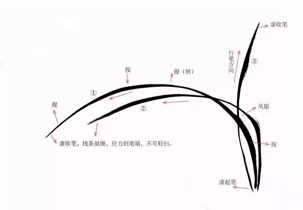 兰花绘画技法教程视频,泰国兰花绘画技法