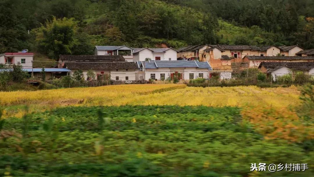 南粤古驿道拍摄后记,2018南粤古驿道展示