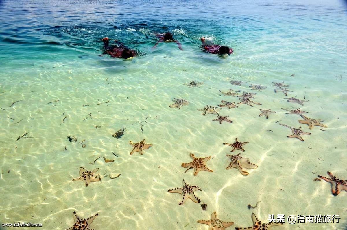 双十一捡漏不迷路,双十一旅游机票