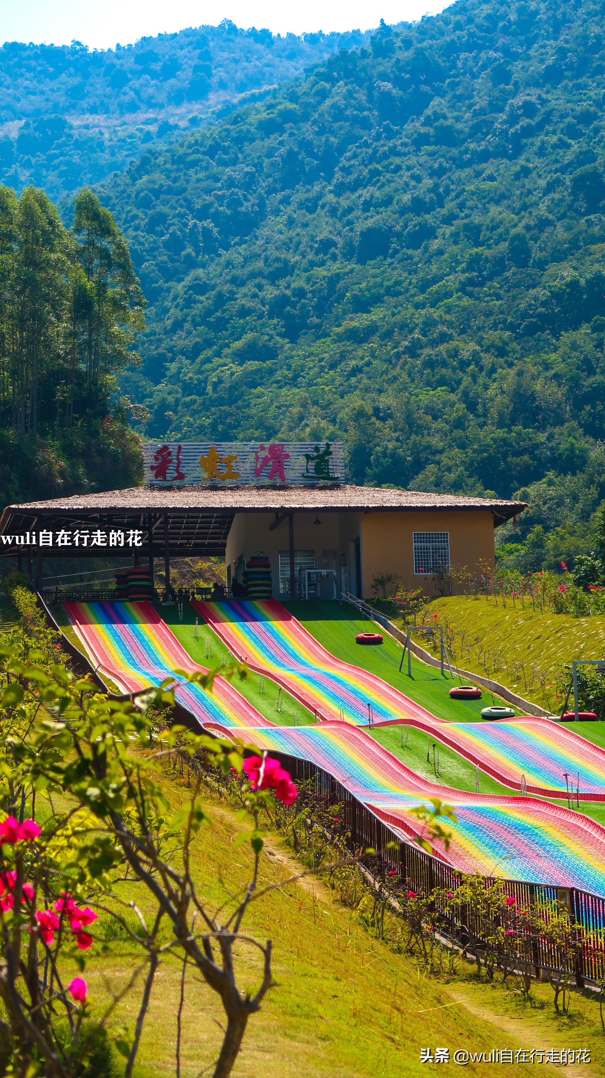 长泰县十里蓝山,漳州长泰十里蓝山攻略