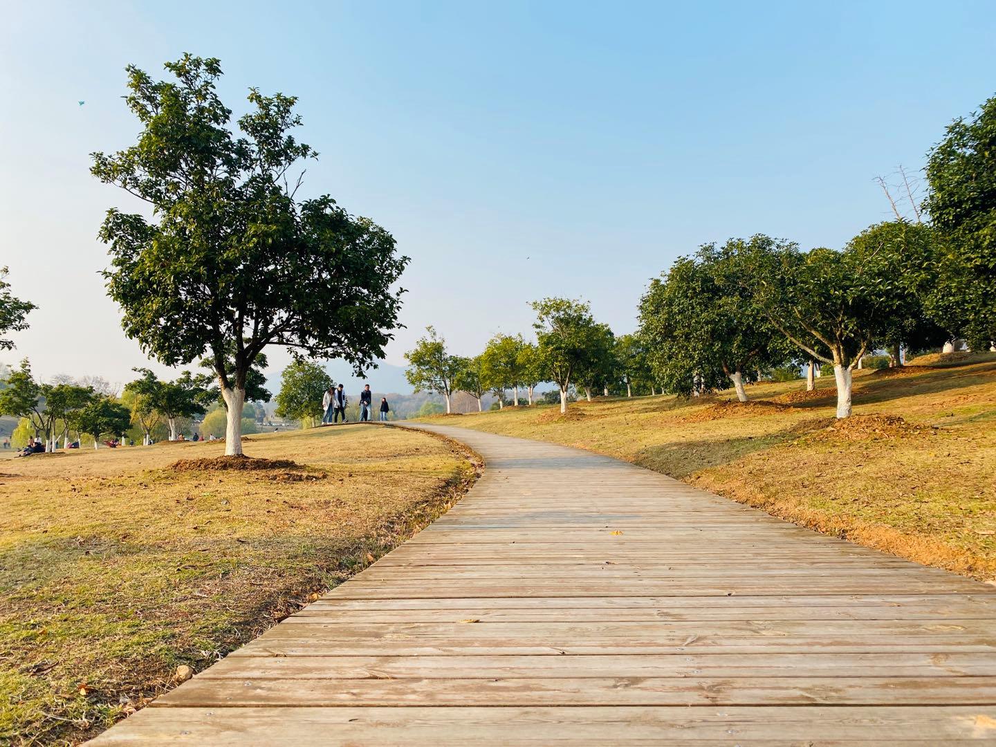 南京最适合夜晚的公园,南京周末户外打卡景点