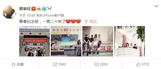 演技炸裂名场面章子怡,泸县章子怡表演视频