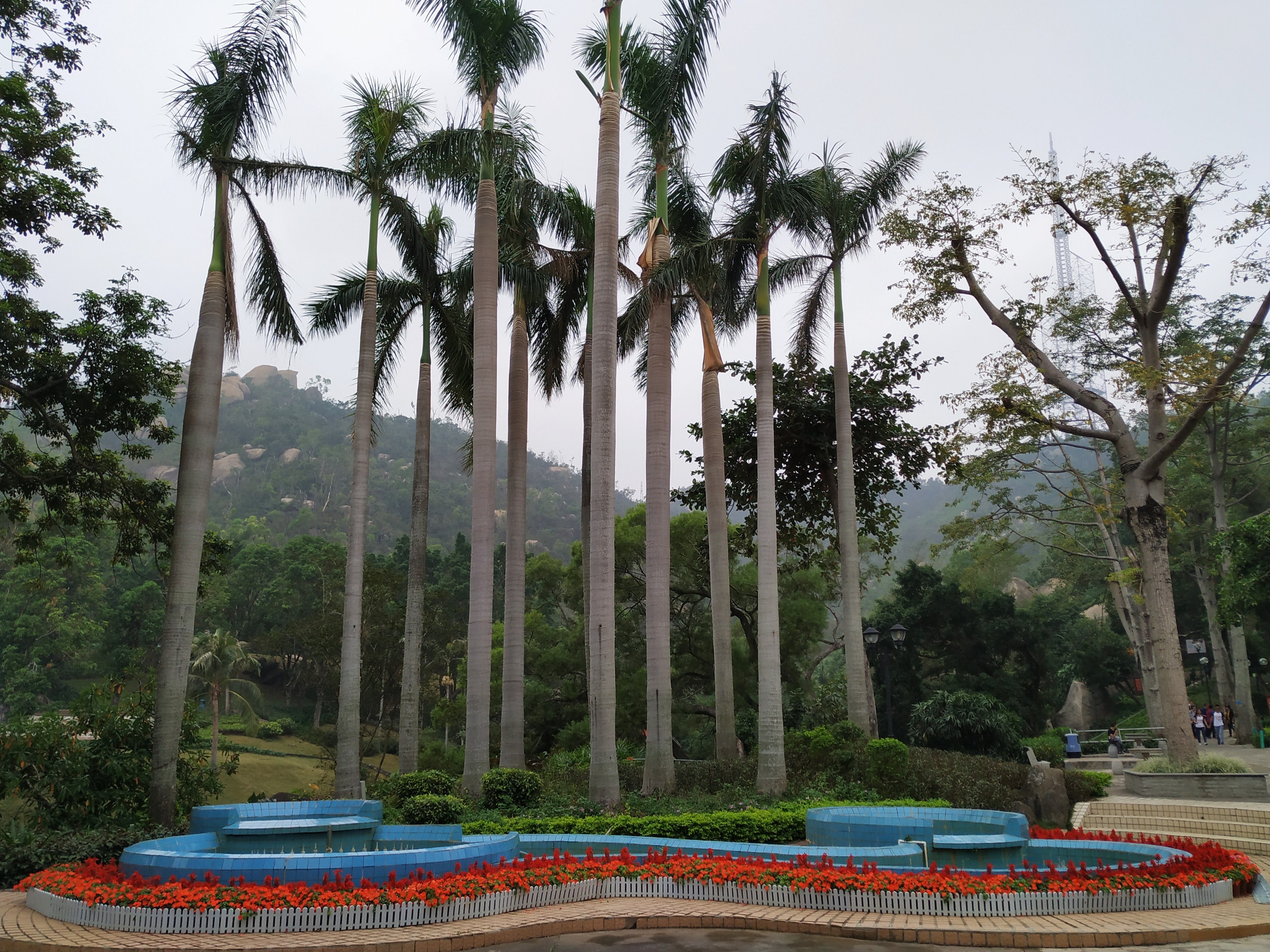 珠海景山公园攻略路线图,珠海景山公园一日游攻略