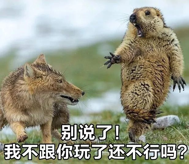 终结话题的聊天方法,终结尬聊经典语录