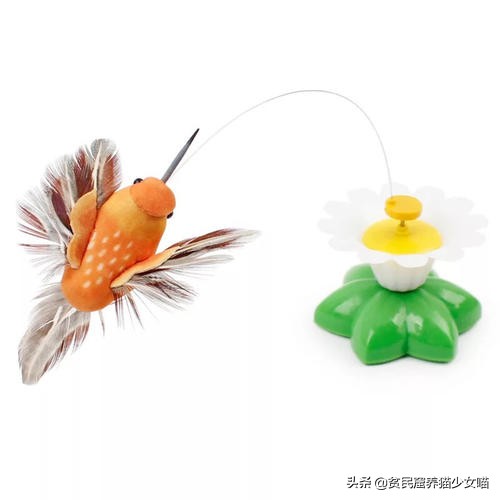 猫咪最喜欢的玩具排行榜,猫咪玩具红黑榜