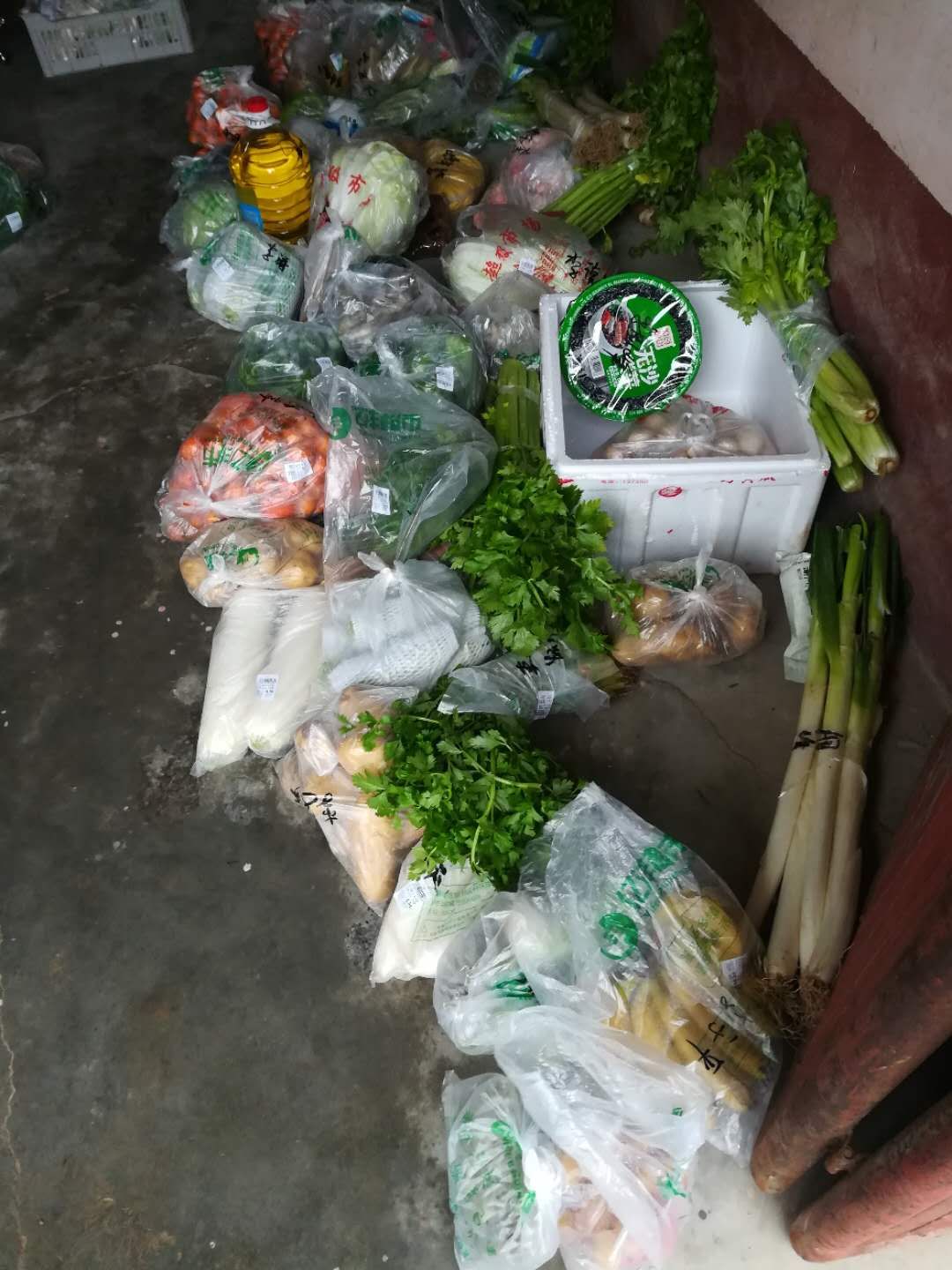 疫情下的农村入党宣誓,疫情下的农村风景