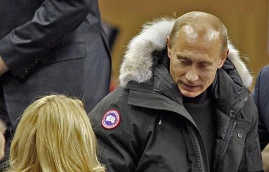 加拿大鹅排队,为什么加拿大鹅这么便宜