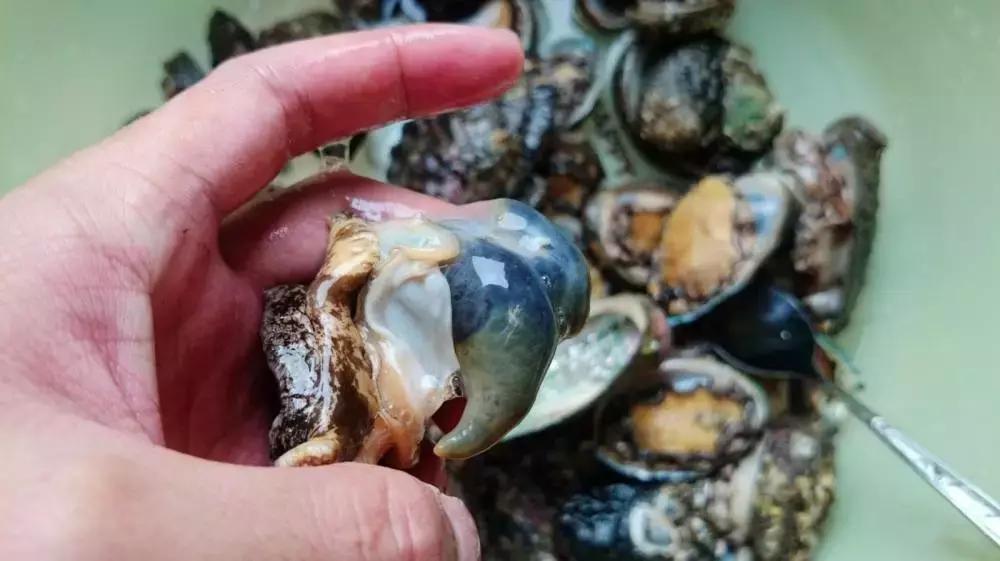 人人都能看懂的威海海鲜攻略,威海海鲜什么时候最好吃