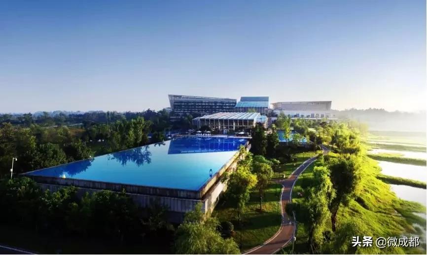 成都24小时开放的游泳池,成都游泳池哪里开放了