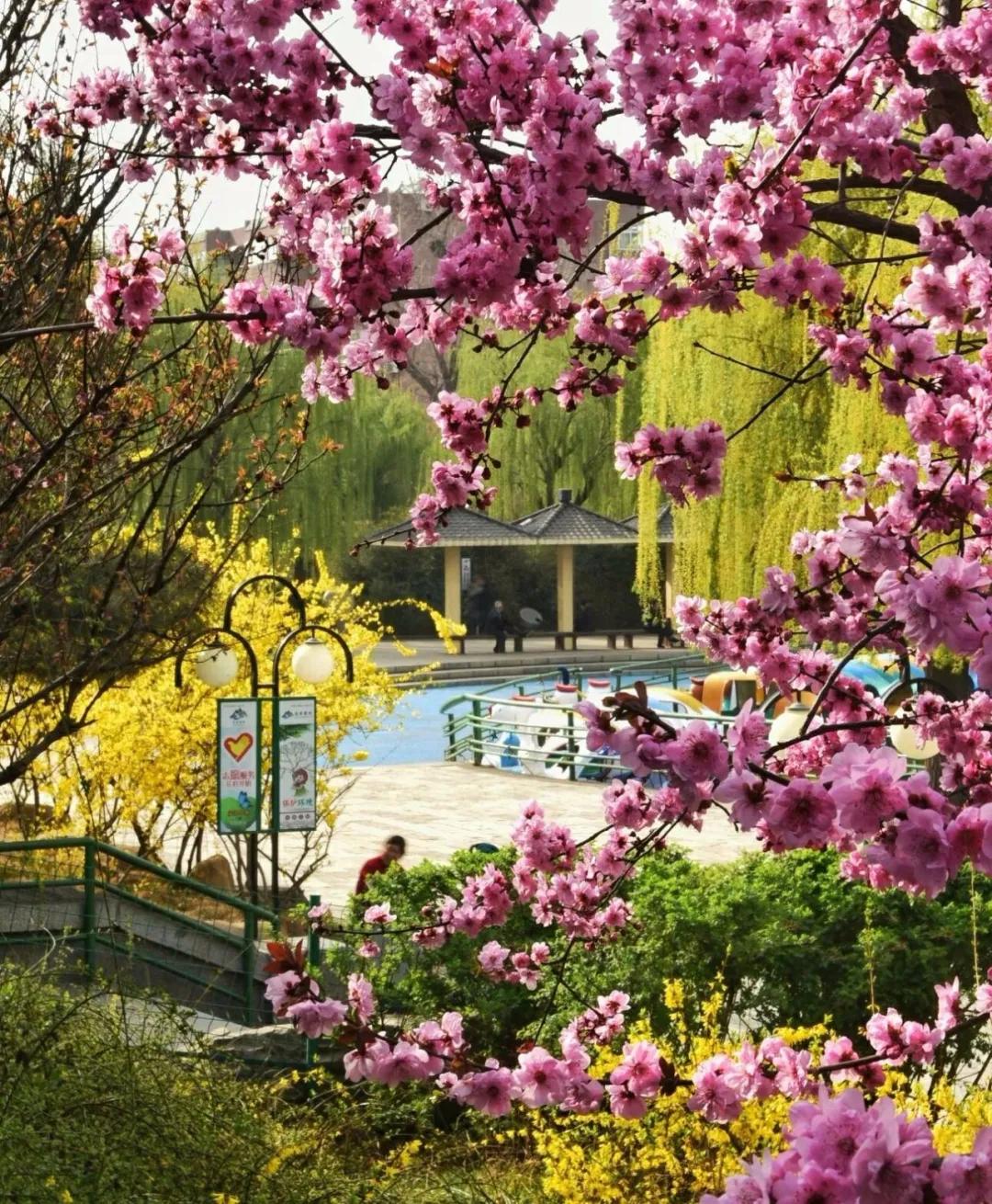 春水初生林初盛春,春水初生林初盛